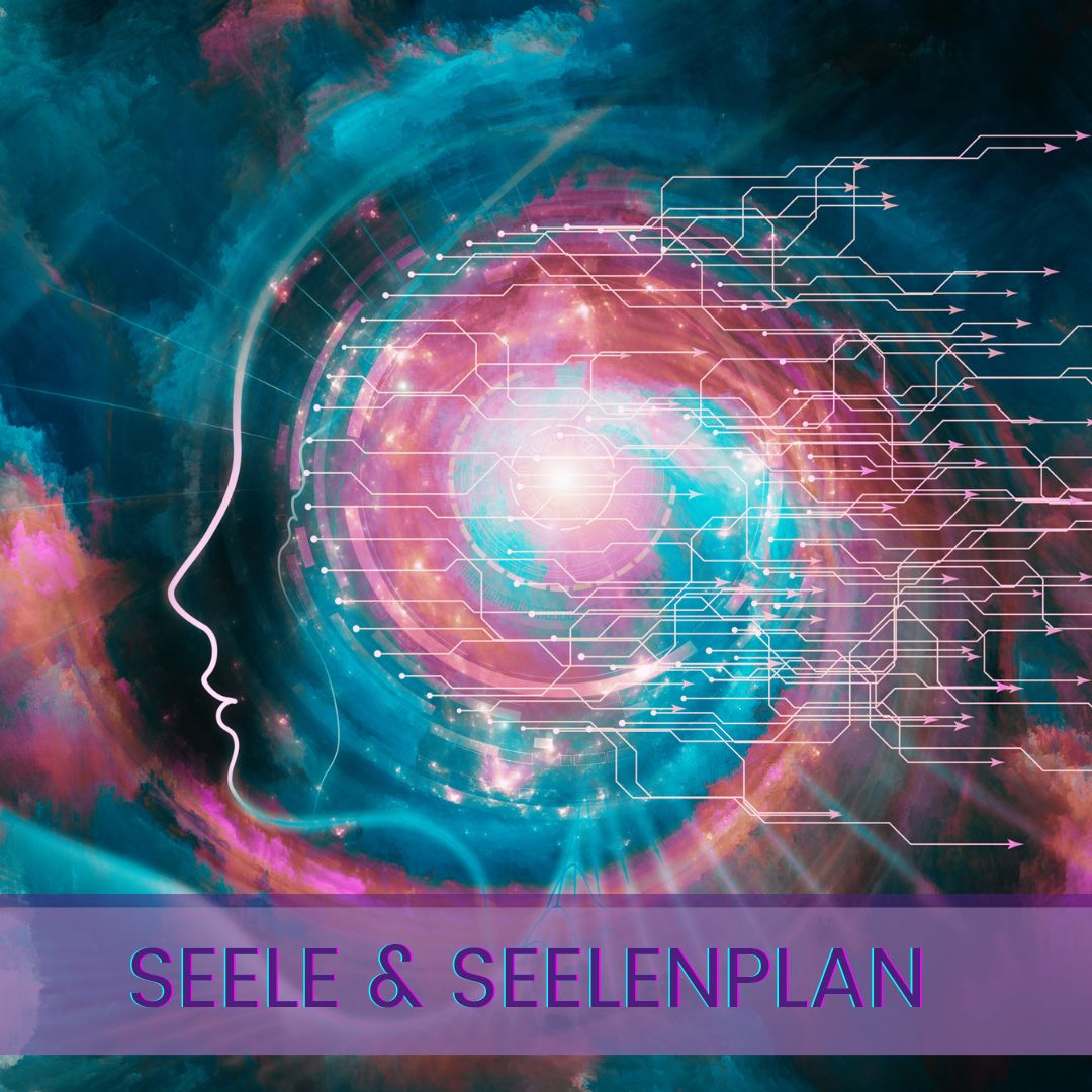 Seelenreise und Seelenplan – Bianka Maria Seidl