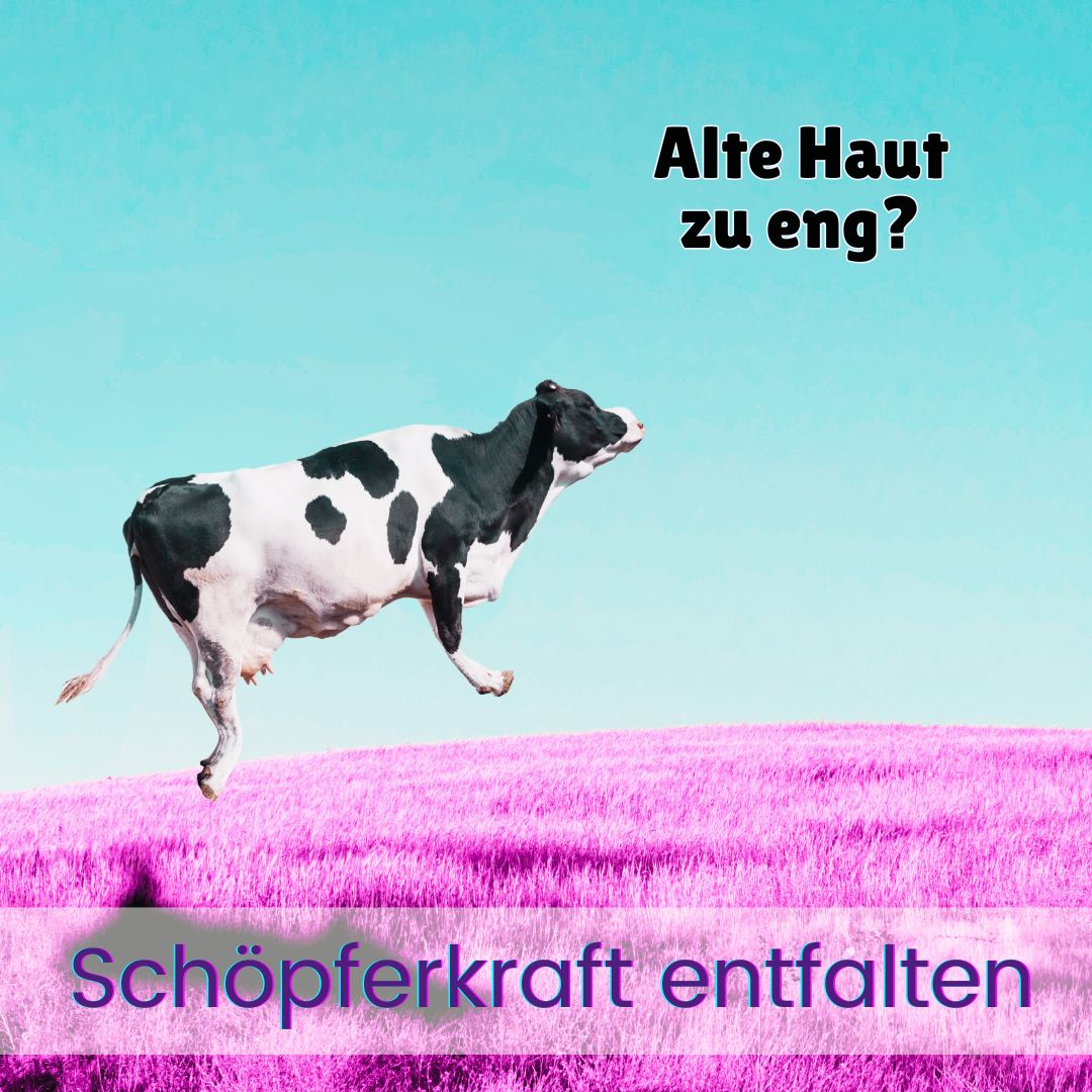Bild mit schwebender Kuh und dem Text "Alte Haut zu eng?" symbolisiert die Befreiung der Schöpferkraft in der Lebensmitte.