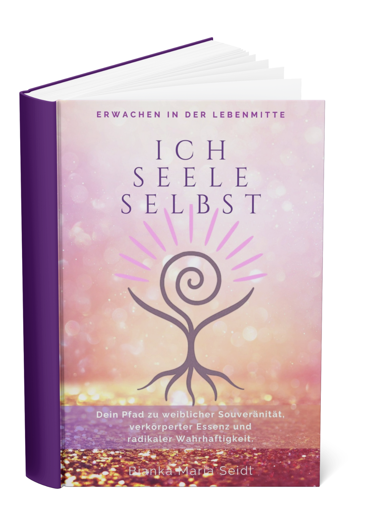 Arbeitscover Buch ICH-SEELE-SELBST erwachen in der Lebensmitte